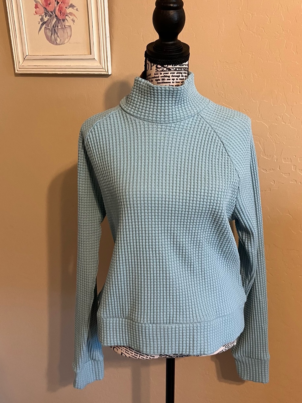 The North Face Light Blue Waffle-Knit Mock/Turtleneck Sweater - Women